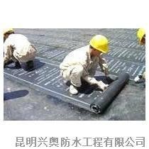 Polyvinyl Chloride(PVC) Waterproofing Membrane 3