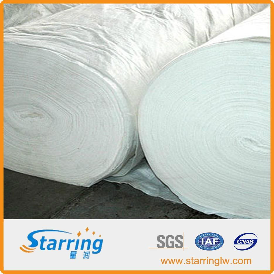 Staple Fiber Needle Punched Geotextile 5