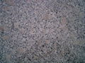 Pearl Flower granite