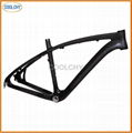 Full Carbon Fibre MTB Frame