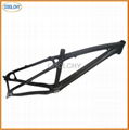 Carbon Fibre Mountain Bike Frame