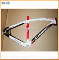 Carbon Bike Frame 1