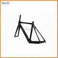 Carbon Bike Frame