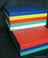 Food Grade Plastic Cutting Block in square with sizes and colors available 3