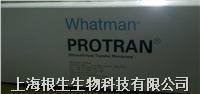 Whatman转印硝酸纤维素膜Western专用