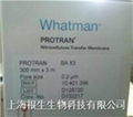 WHATMAN硝酸纤维素膜NC膜0.2um，30cm*3m 1