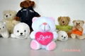 Plush Bear Toys