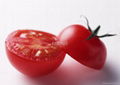 100% pure tomato paste 2