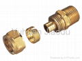 brass pex fitting 1