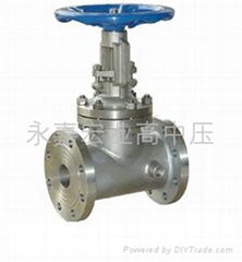 China Steam jacket gate valve