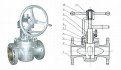 API Lift Plug Valve