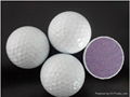 Tournement Golf Balls 2