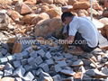 stone paver/granite paver/marble paver 4