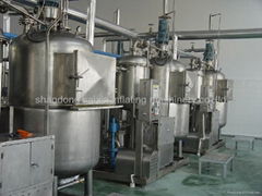 Fruit And Vegetable Chips Processing Line