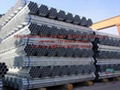 BS1387 gavalnized pipe/tube