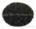 Nut shell activated carbon