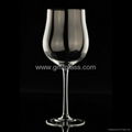 Wine glass