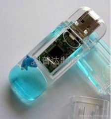 Liquid usb