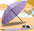 umbrella 1