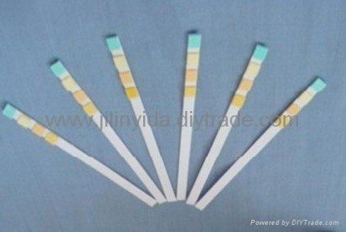 urine test strips 2