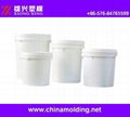 Paint bucket mold 1