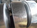 GALVANIZED STEEL STRIP 2