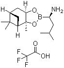 (R)-BoroLeu-(+)-Pinanediol-CF3COOH