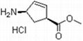 (1S,4R)-Methyl