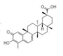 Celastrol(Tripterin)