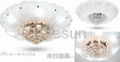 Led crystal lamp ceiling lamp interior lighting lamp 2