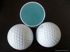 2 piece golf game ball