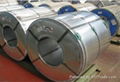 HDG GI Hot dipped galvanised steel sheet in coil 2