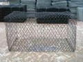 Hexagonal wire mesh