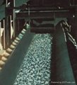 Oil Resistant Conveyor Belt 2