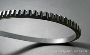 Automative Poly V Belt 2