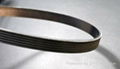 Automative Poly V Belt 4