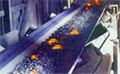 Heat Resistant Conveyor Belt