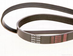 Poly V Belt