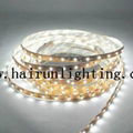 SMD3528 Flexible LED Strip Light