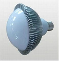 6X1W LED Bulb Light