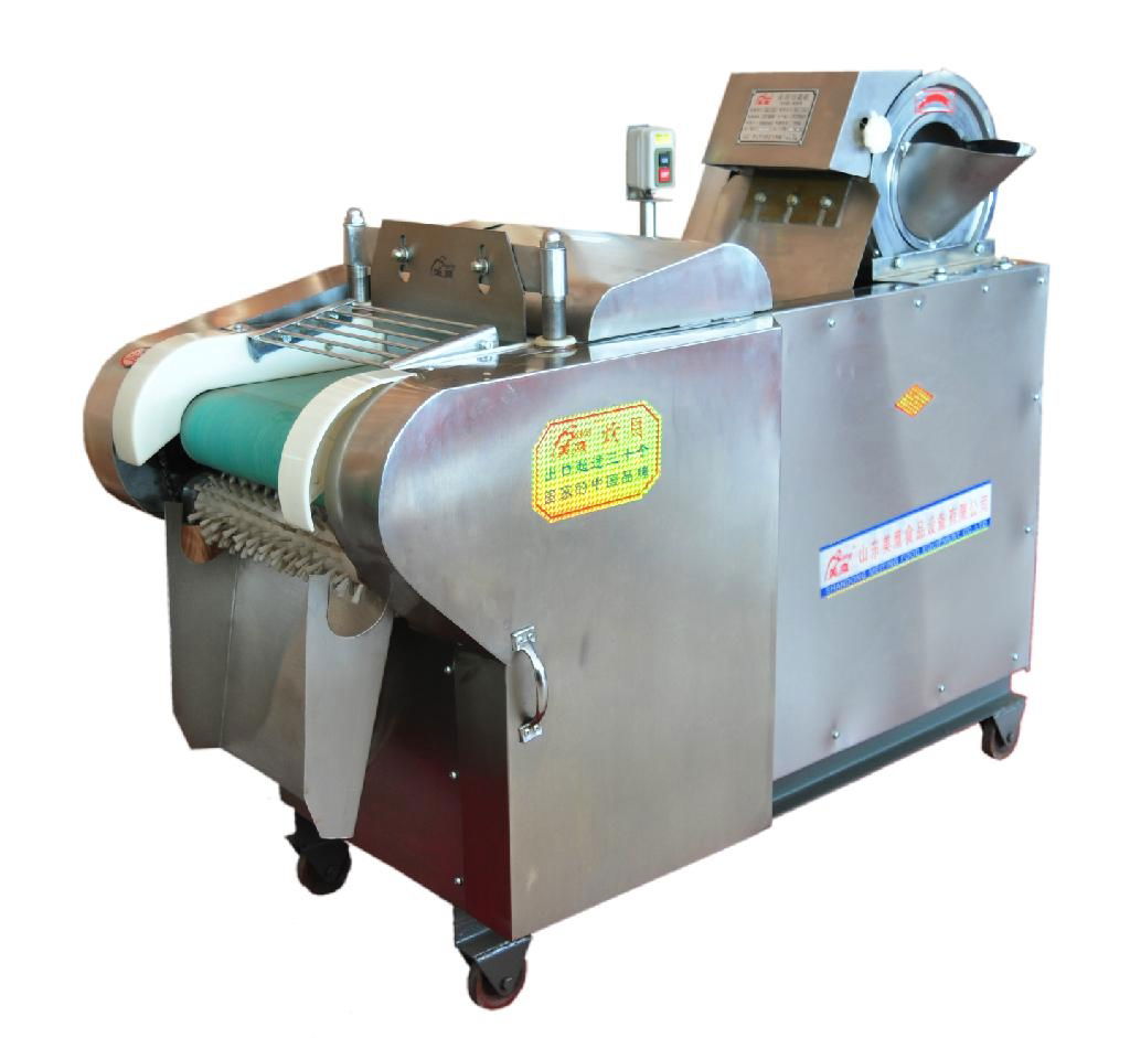 multifunctional fruit vegetable cutting machine