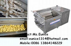 automatic fruit and vegetable washing machine