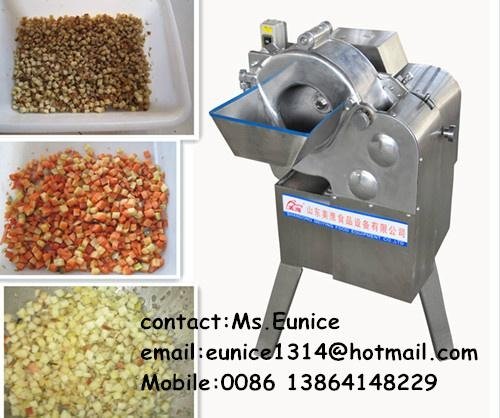 automatic fruit vegetable dicer