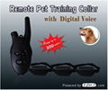 Remote collar pet training with Digital Voice RH009