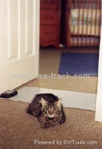 Bran New Scat Mat Pet Training Mat Js1260 China Manufacturer