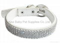 Fashion crystal pet collar 1