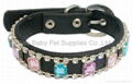 Acrylic pu pet collar