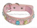 Acrylic pu pet collar   3