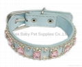 Acrylic pu pet collar   4