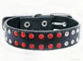 Fashion pet collars and leashes